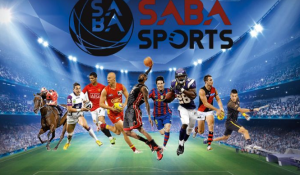 Read more about the article Sapa Sports Cùng Top 3 Điều Độc Đáo, Hấp Dẫn Tại KUBET: Trải Nghiệm Cá Cược Đẳng Cấp Không Thể Bỏ Lỡ Kubet77